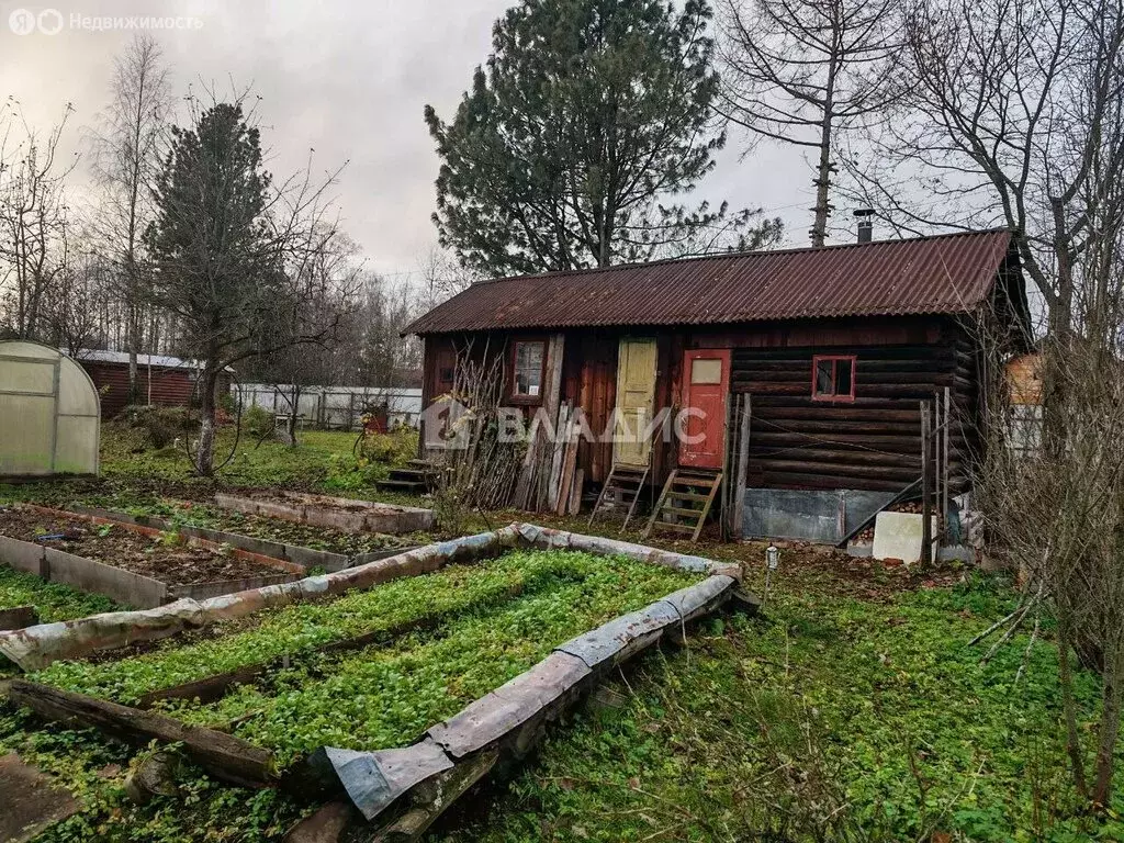 Участок в Рахьинское городское поселение, садоводческий массив ... - Фото 1
