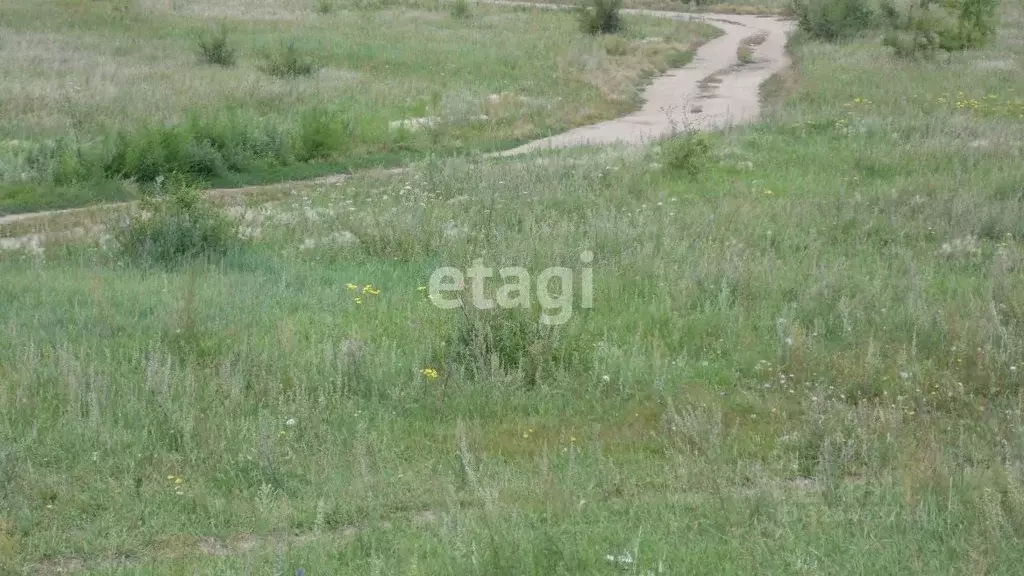 Участок в Забайкальский край, Чита ДНТ Казачий хут., ул. Снежная, 75 ... - Фото 0