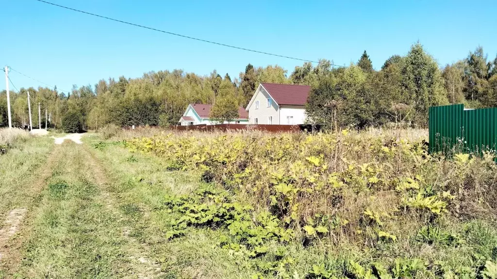 Участок в Московская область, Клин городской округ, д. Щекино ул. ... - Фото 2