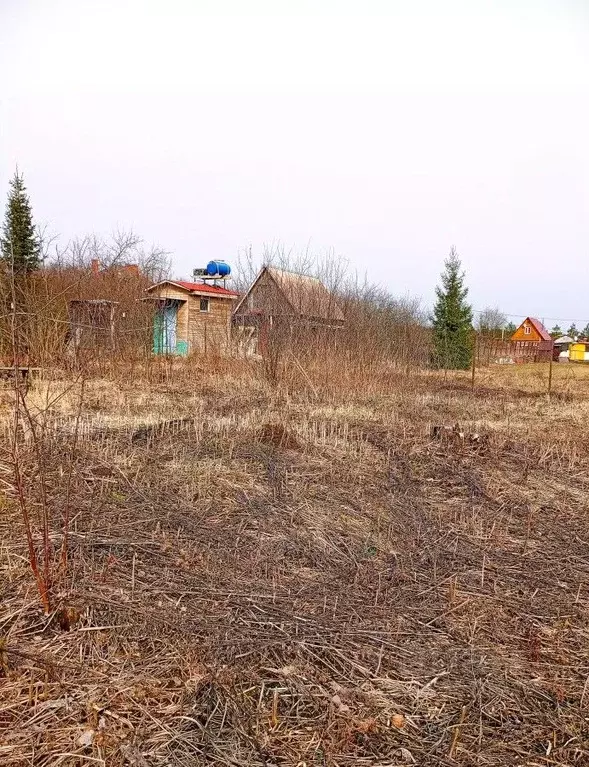 Участок в Московская область, Чехов муниципальный округ, д. Баранцево ... - Фото 1