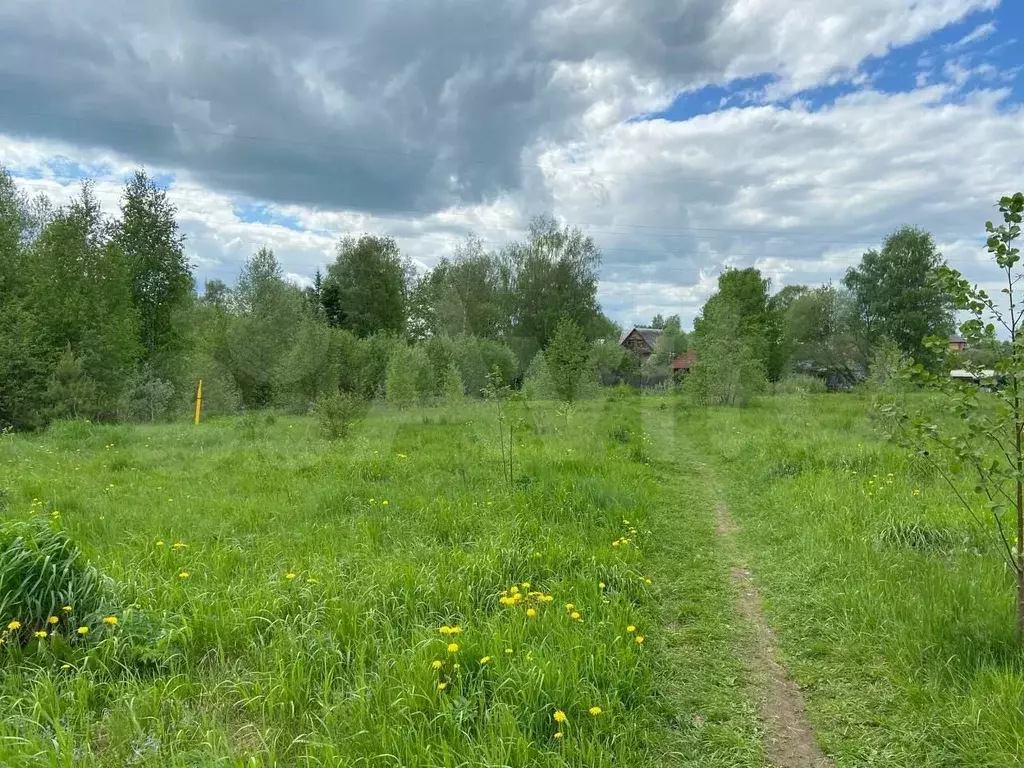 Купить Участок Земли В Поселке Красные Ткачи