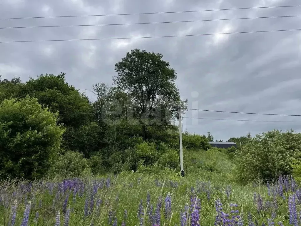 Участок в Смоленская область, Смоленский муниципальный округ, д. ... - Фото 1