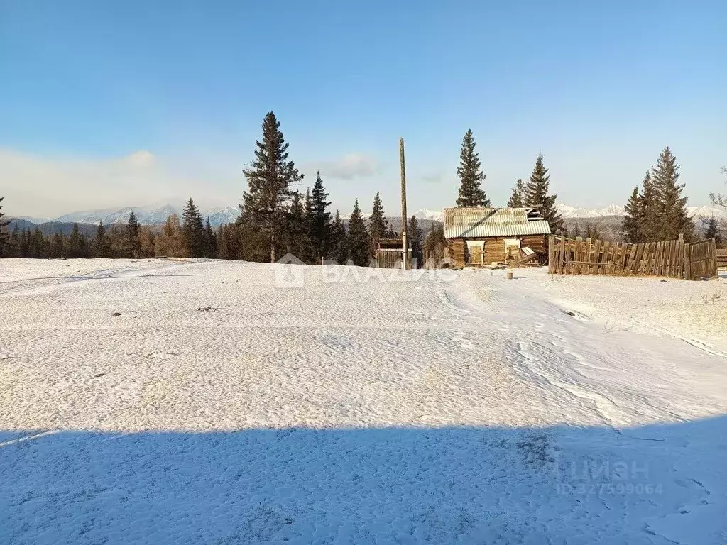 Участок в Бурятия, Тункинский район, с. Туран  (19.9 сот.) - Фото 1