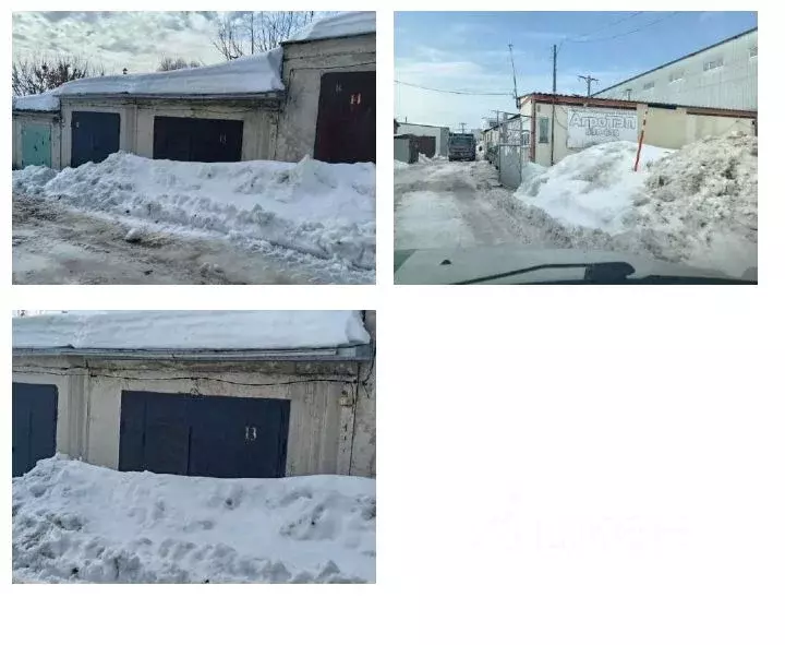 Гараж в Удмуртия, Завьяловский район, Орбита СНТ ул. № 19А (24 м) - Фото 1