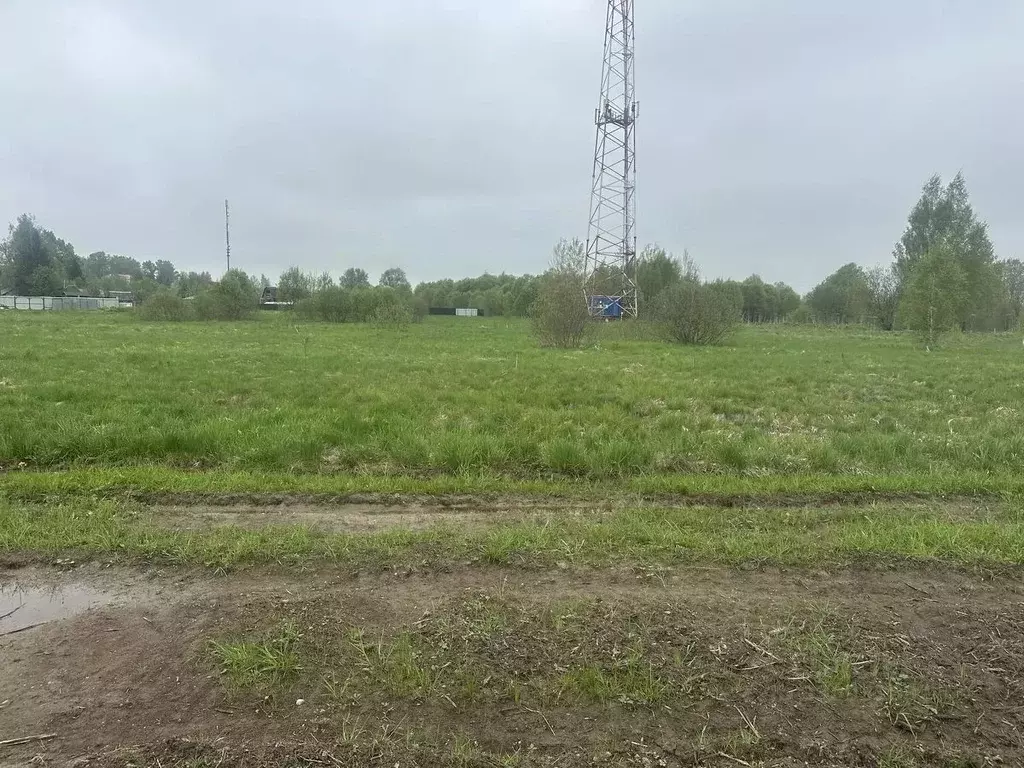 Участок в Московская область, Рузский муниципальный округ, д. Грибцово ... - Фото 2