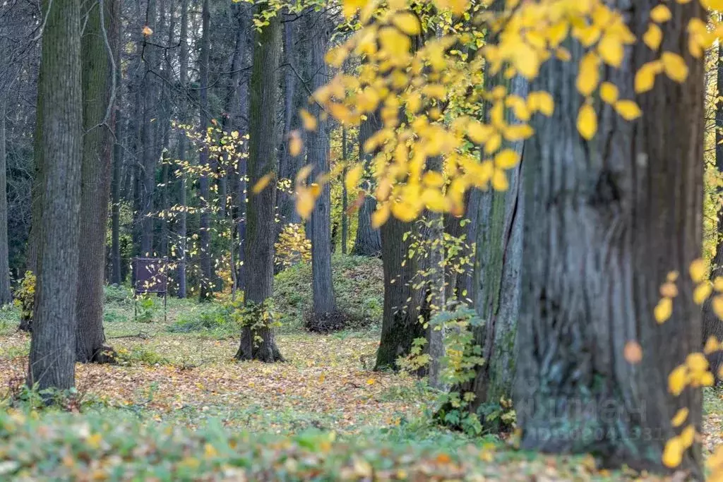 Комната Московская область, Ленинский городской округ, Горки Ленинские ... - Фото 0