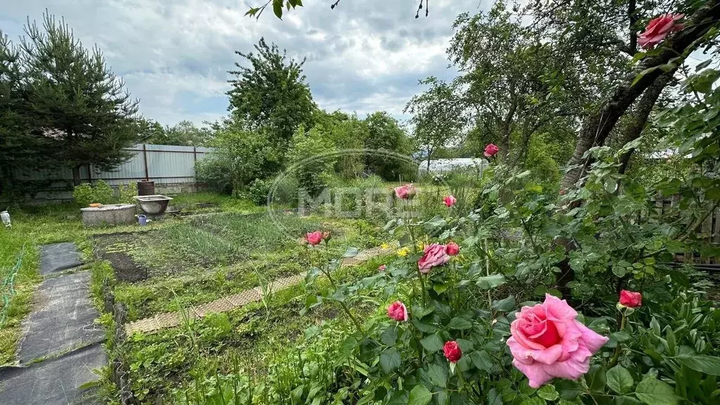 Участок 4,8 сот. (СНТ, ДНП) - Фото 1