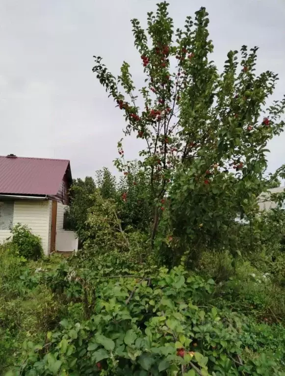 Дом в Омская область, Омск СОСН Прогресс-5 тер., аллея 12-я (25 м) - Фото 2