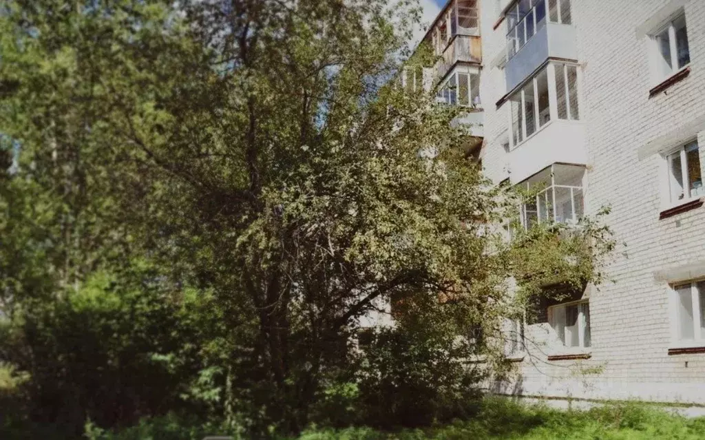 1-к кв. Свердловская область, Ревда Российская ул., 28А (35.6 м) - Фото 1