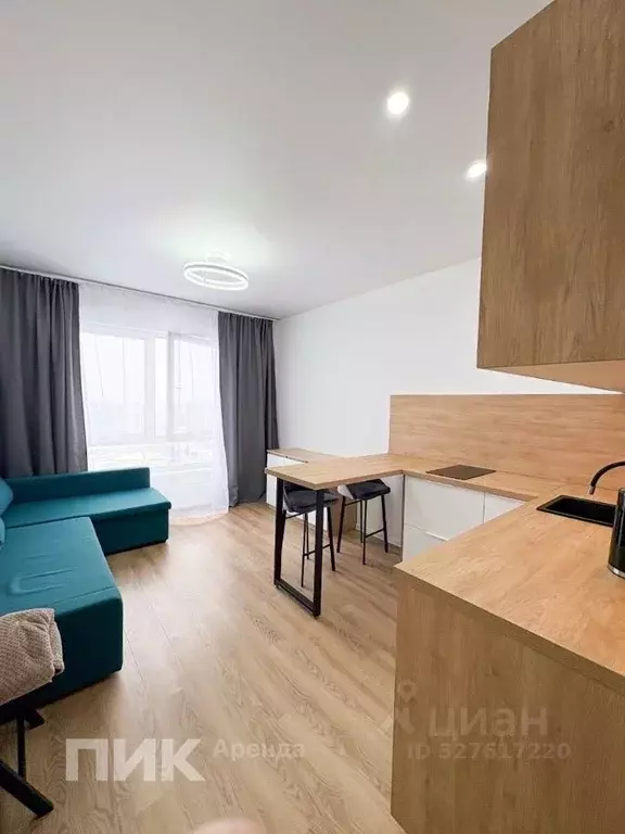 Студия Московская область, Одинцово ул. Березовая, 2 (20.0 м) - Фото 2