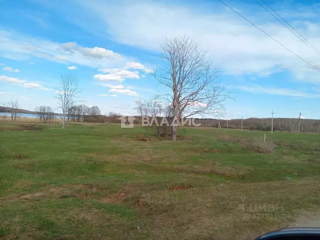 Участок в Нижегородская область, Богородский муниципальный округ, д. ... - Фото 1
