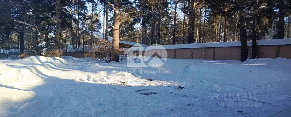 Участок в Кемеровская область, Кемеровский муниципальный округ, с. ... - Фото 2