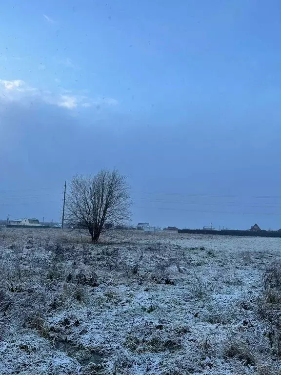 Участок в Ленинградская область, Всеволожский район, Рахьинское ... - Фото 0