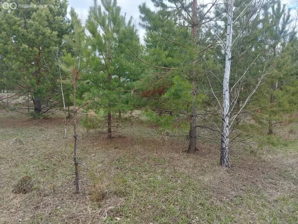 Участок в Тюменский район, коттеджный посёлок Новокаменский (16 м) - Фото 1