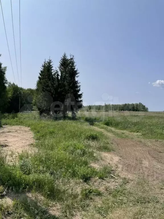 Участок 10,29 га (ИЖС) - Фото 0