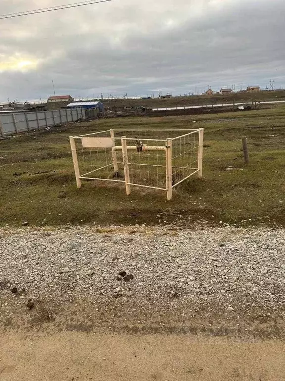 Участок в Саха (Якутия), Якутск городской округ, с. Тулагино  (10.0 ... - Фото 2