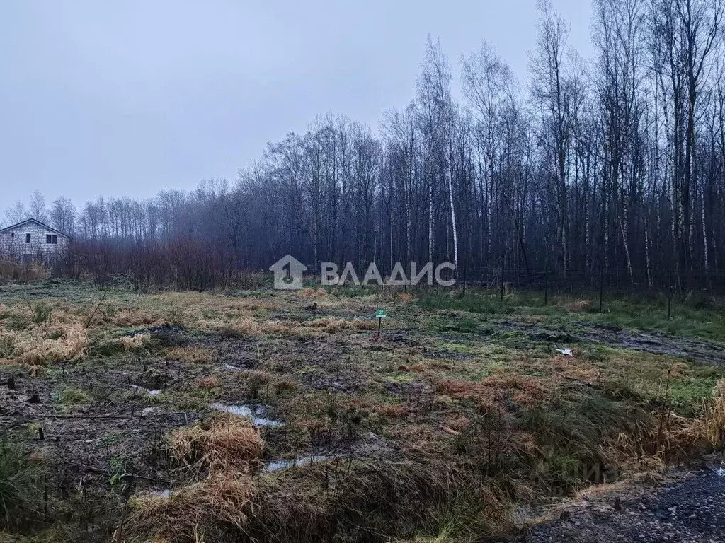 Участок в Ленинградская область, Всеволожский район, Заневское ... - Фото 2
