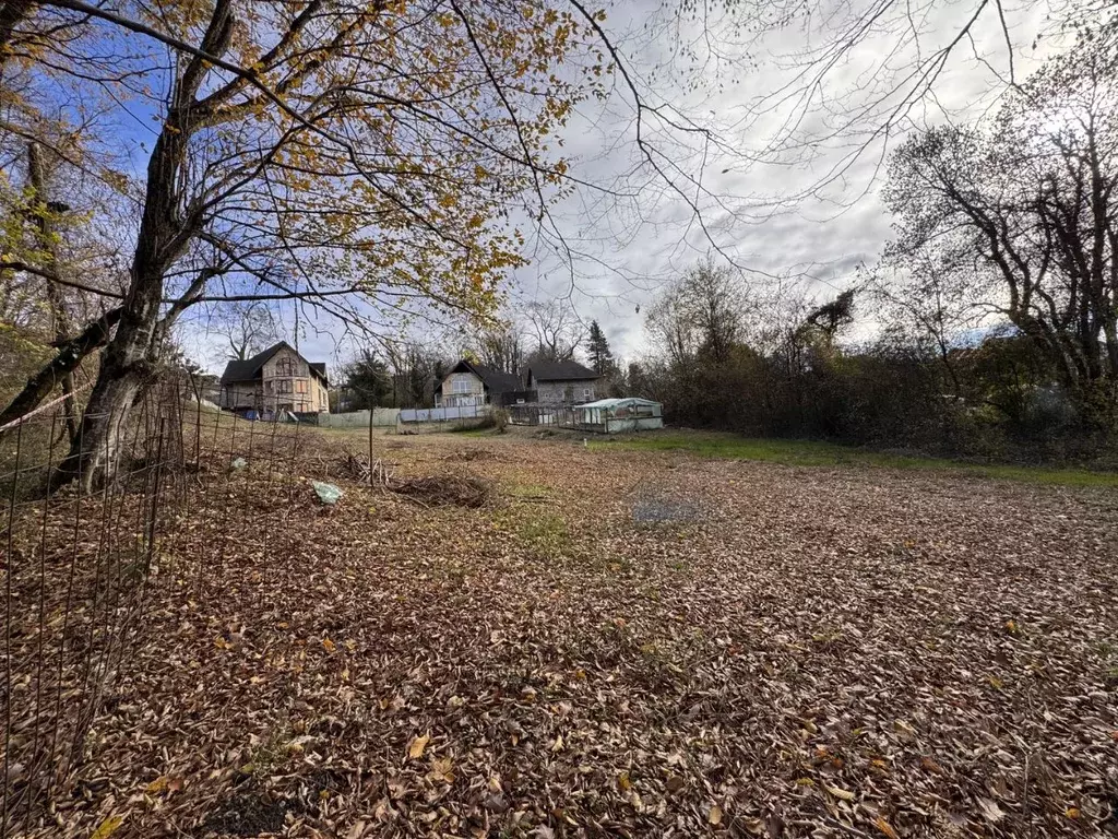 Участок в Краснодарский край, Сочи городской округ, с. Ахштырь ул. ... - Фото 2