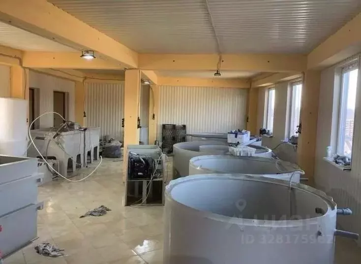 Помещение свободного назначения в Московская область, Истра ... - Фото 2