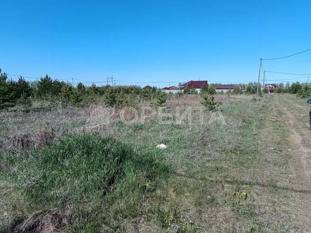 Участок в Тюменская область, Тюменский муниципальный округ, с. ... - Фото 1