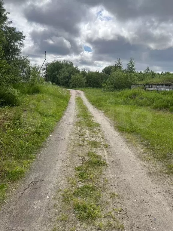 Участок 3 сот. (СНТ, ДНП) - Фото 0