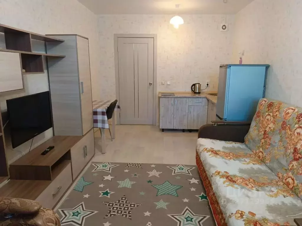 Студия Ленинградская область, Сертолово Всеволожский район, ... - Фото 1