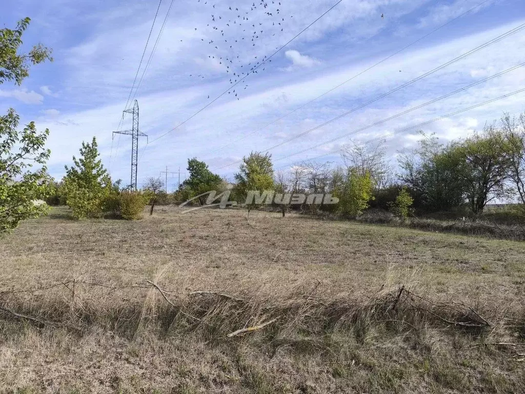 Участок в Крым, Симферопольский район, Перовское с/пос, Рино СТ 87 ... - Фото 2