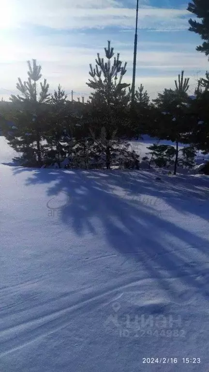 Участок в Свердловская область, Белоярский городской округ, с. ... - Фото 1