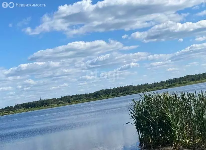 Участок в Курганская область, Кетовский муниципальный округ, деревня ... - Фото 0