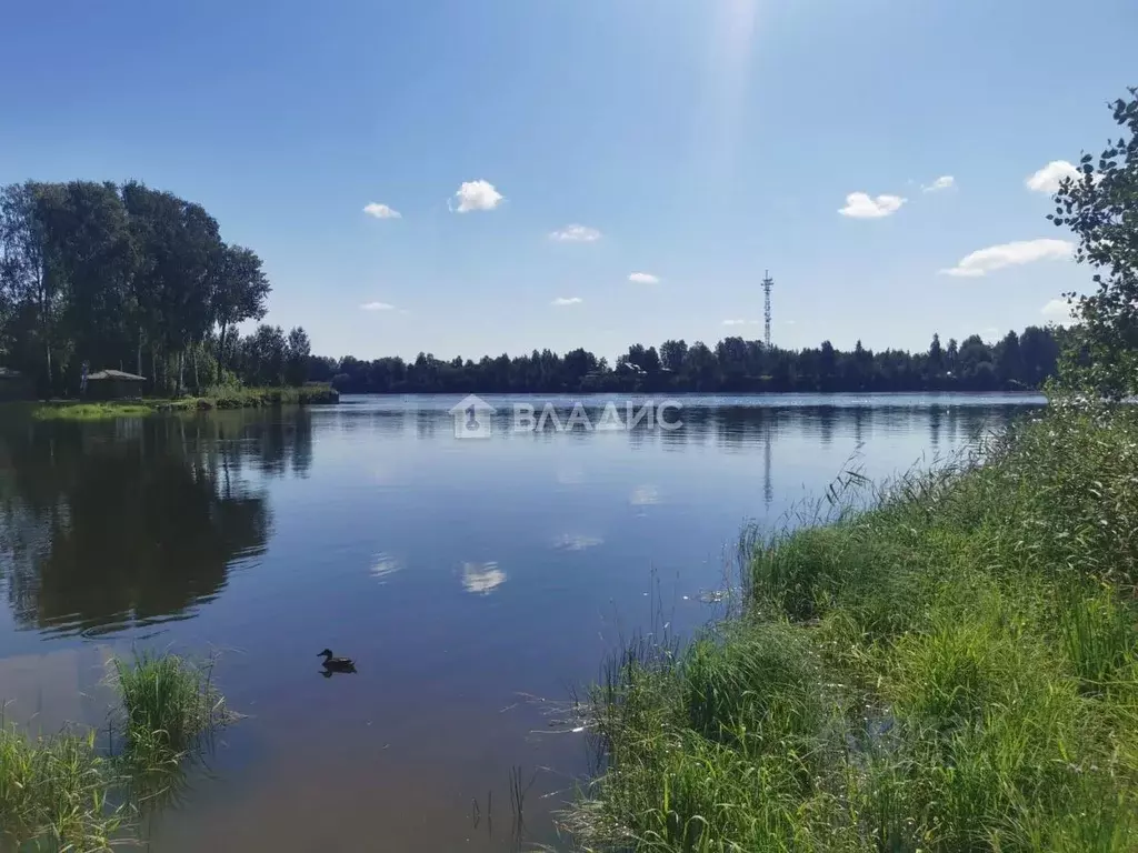 Участок в Ленинградская область, Всеволожский район, Свердловское ... - Фото 1