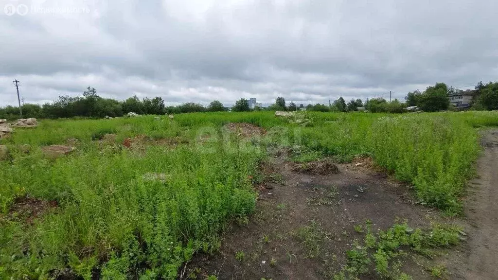 Участок в Вологодская область, Сокольский муниципальный округ, ... - Фото 2