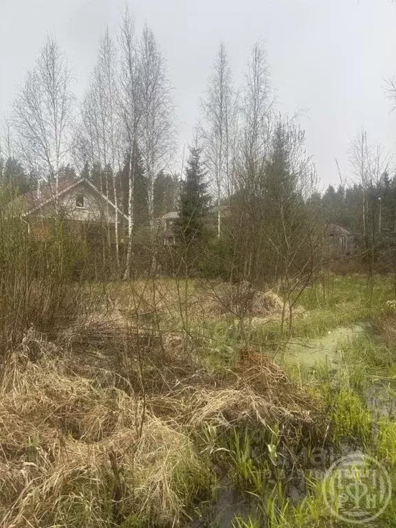 Участок в Санкт-Петербург, Санкт-Петербург, Зеленогорск ул. 1-я ... - Фото 0