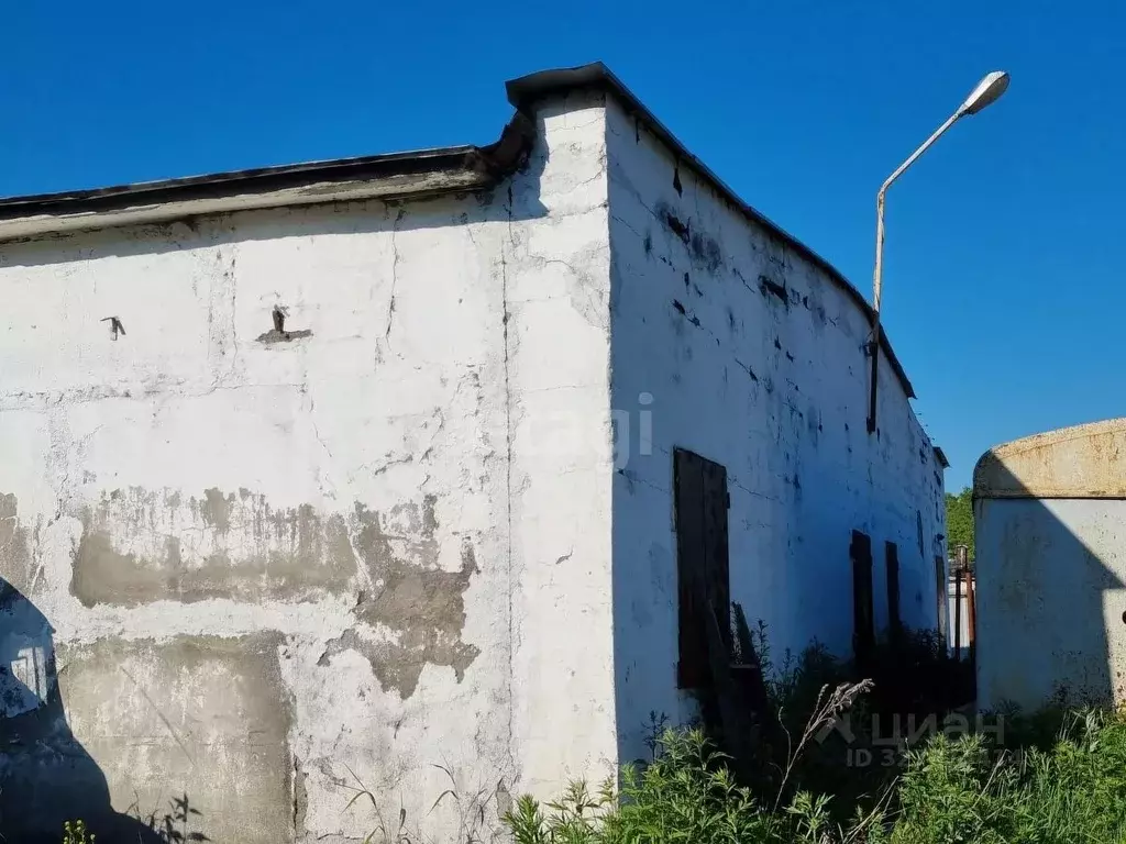 Помещение свободного назначения в Камчатский край, Елизово Садовый ... - Фото 1