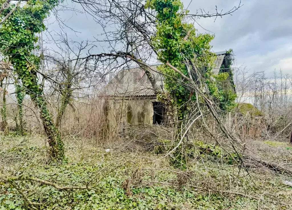 Участок в Майкоп, СНТ Строитель, Зелёная улица (4.73 м) - Фото 2