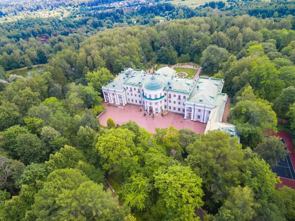 Участок 40 сот. (СНТ, ДНП) - Фото 0