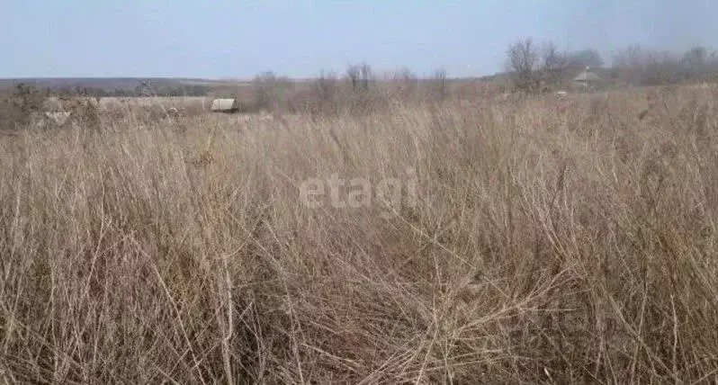 Участок в Воронежская область, с. Новая Усмань ул. Весенняя (3.2 сот.) - Фото 1