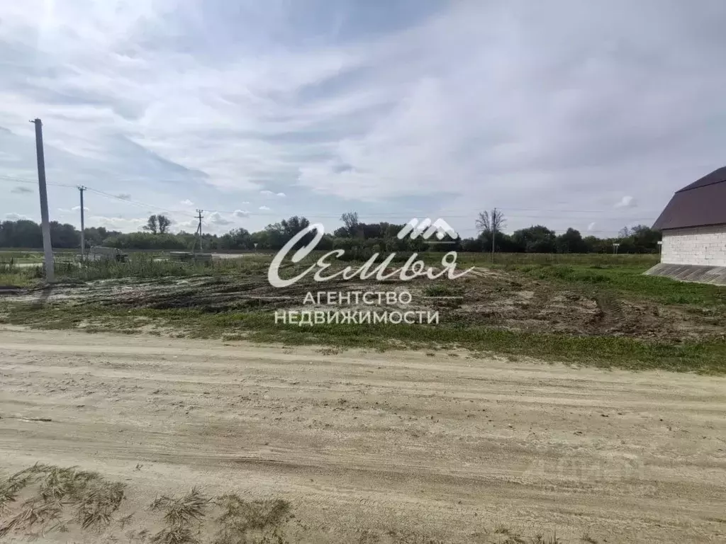 Участок в Тюменская область, Заводоуковск ул. Гилевская роща (12.0 ... - Фото 2