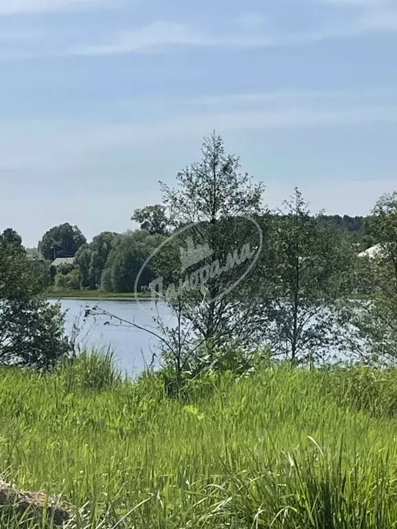 Участок в Калужская область, Дзержинский муниципальный округ, Угорское ... - Фото 1