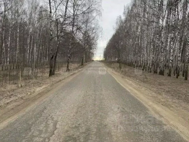 Участок в Татарстан, Казань Кооператор садоводческое товарищество, 359 ... - Фото 2