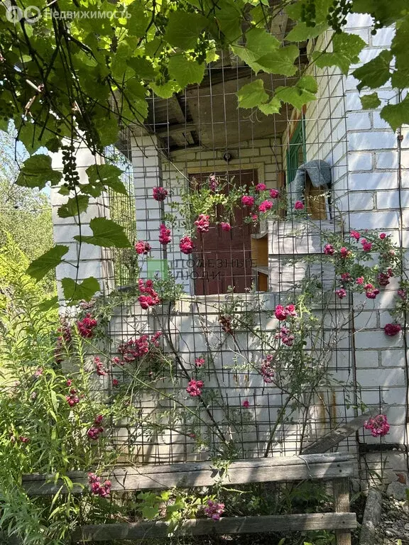 Дом в Бессоновка, улица Чайковского, 86 (22.3 м) - Фото 1