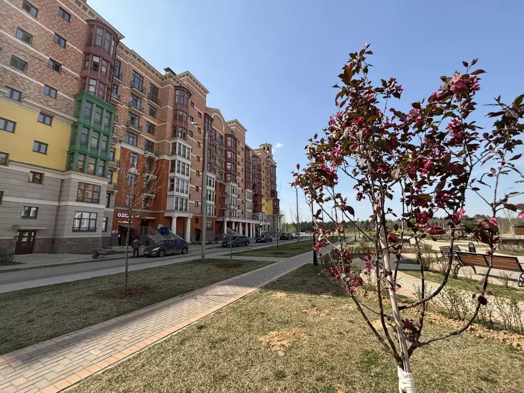 1-к кв. Московская область, Красногорск городской округ, Сабурово пгт ... - Фото 2