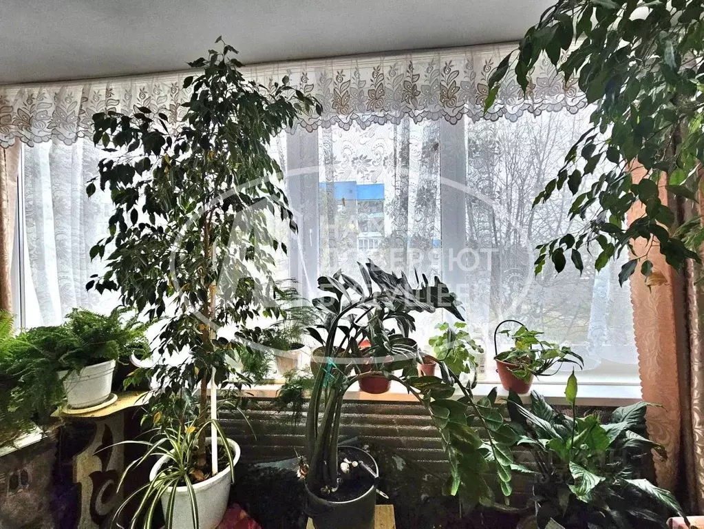 3-к кв. Пермский край, Чайковский городской округ, пос. Марковский 16 ... - Фото 2