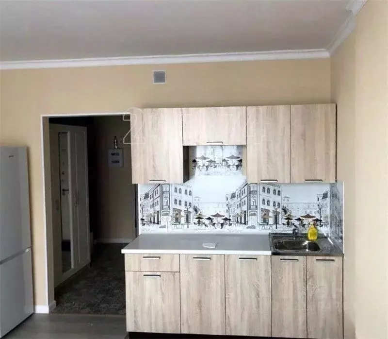 Студия Московская область, Красногорск ул. Липовой Рощи, 2к3 (24.0 м) - Фото 1