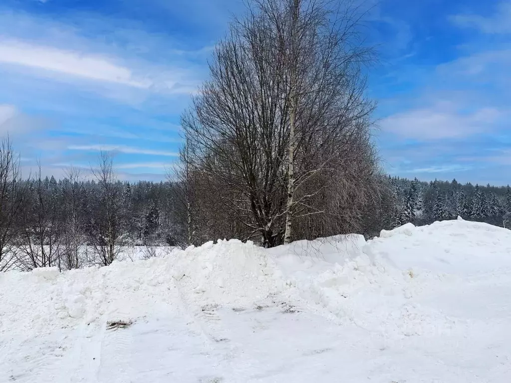 Участок в Московская область, Дмитровский муниципальный округ, ... - Фото 1