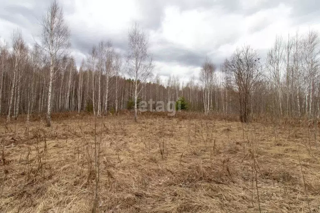 Участок в Тюменская область, Нижнетавдинский район, Земляника кп  (8.8 ... - Фото 0