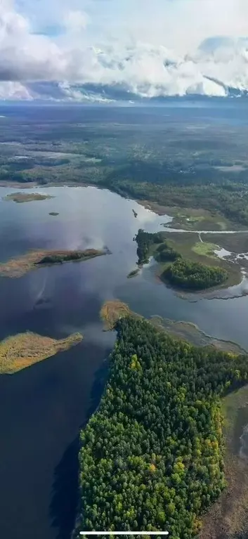 Участок в Ленинградская область, Приозерский район, Красноозерное ... - Фото 1