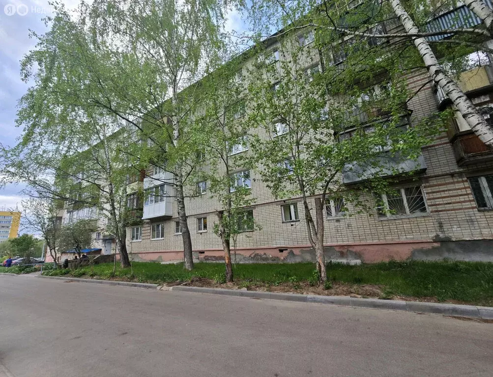 1-комнатная квартира: Кстово, улица Ступишина, 3 (31.4 м) - Фото 0