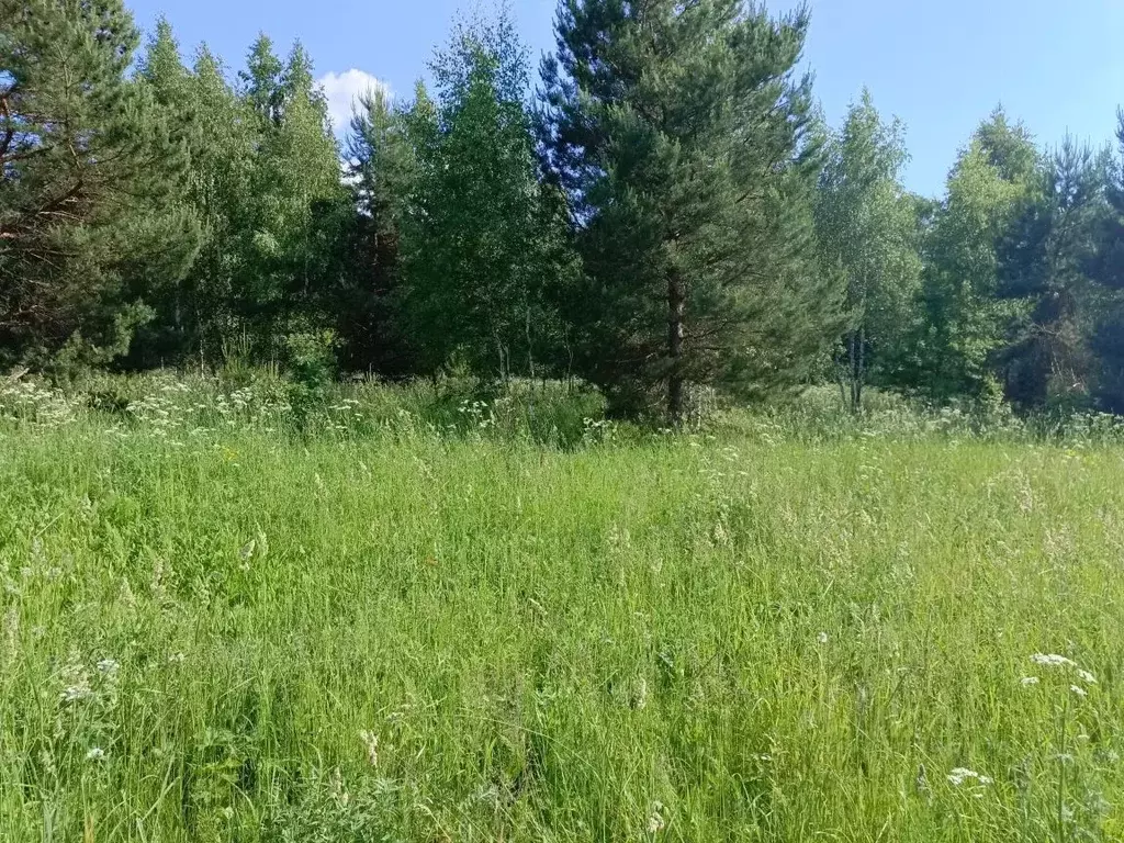 Участок в Московская область, Кашира городской округ, д. Малеево  ... - Фото 1