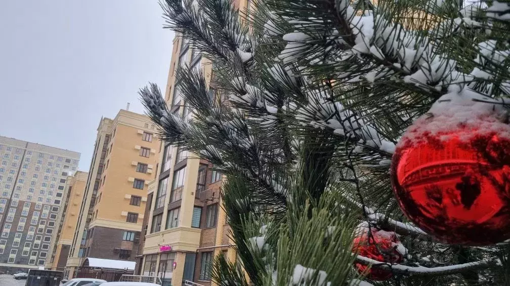 3-к кв. Ставропольский край, Ставрополь ул. Рогожникова, 19/5 (92.0 м) - Фото 1