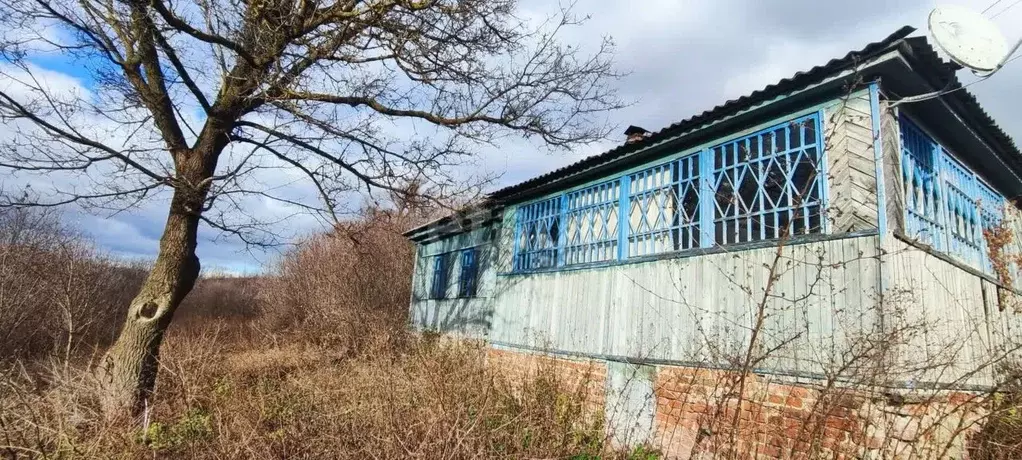 Дом в Воронежская область, Хохольское городское поселение, с. ... - Фото 0